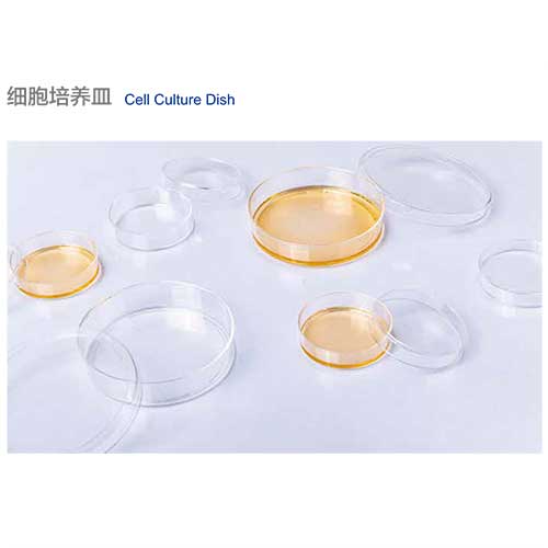 細(xì)胞培養(yǎng)皿-圖1.jpg